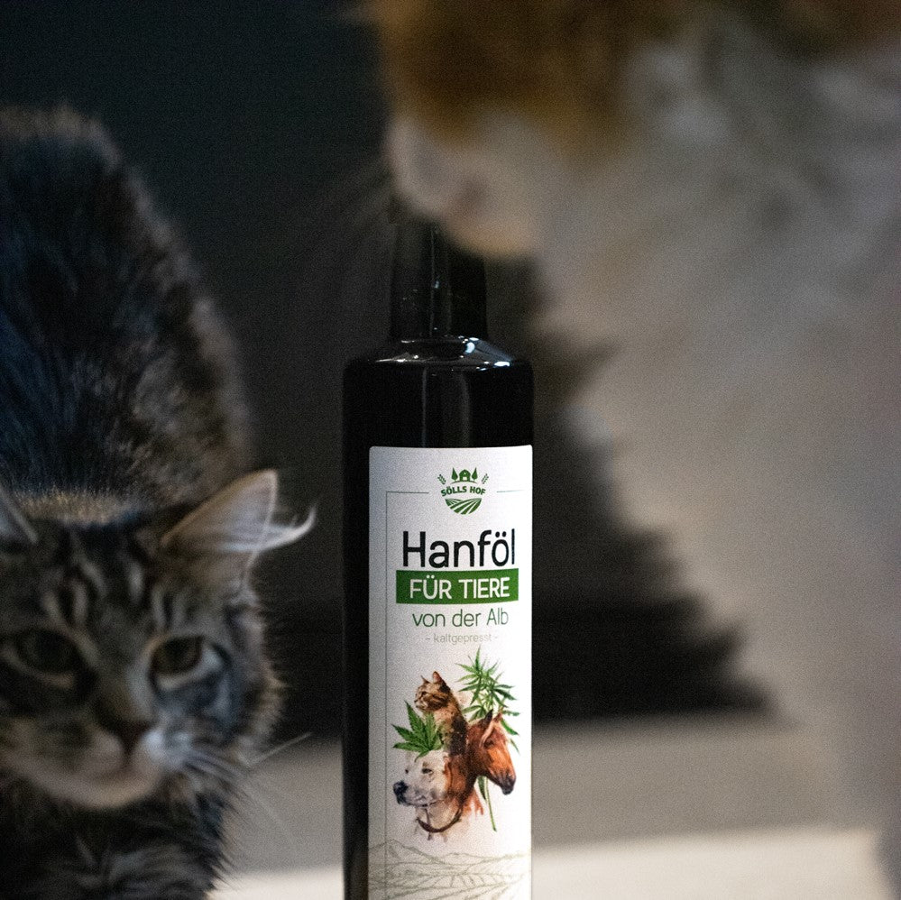Hanföl für Tiere