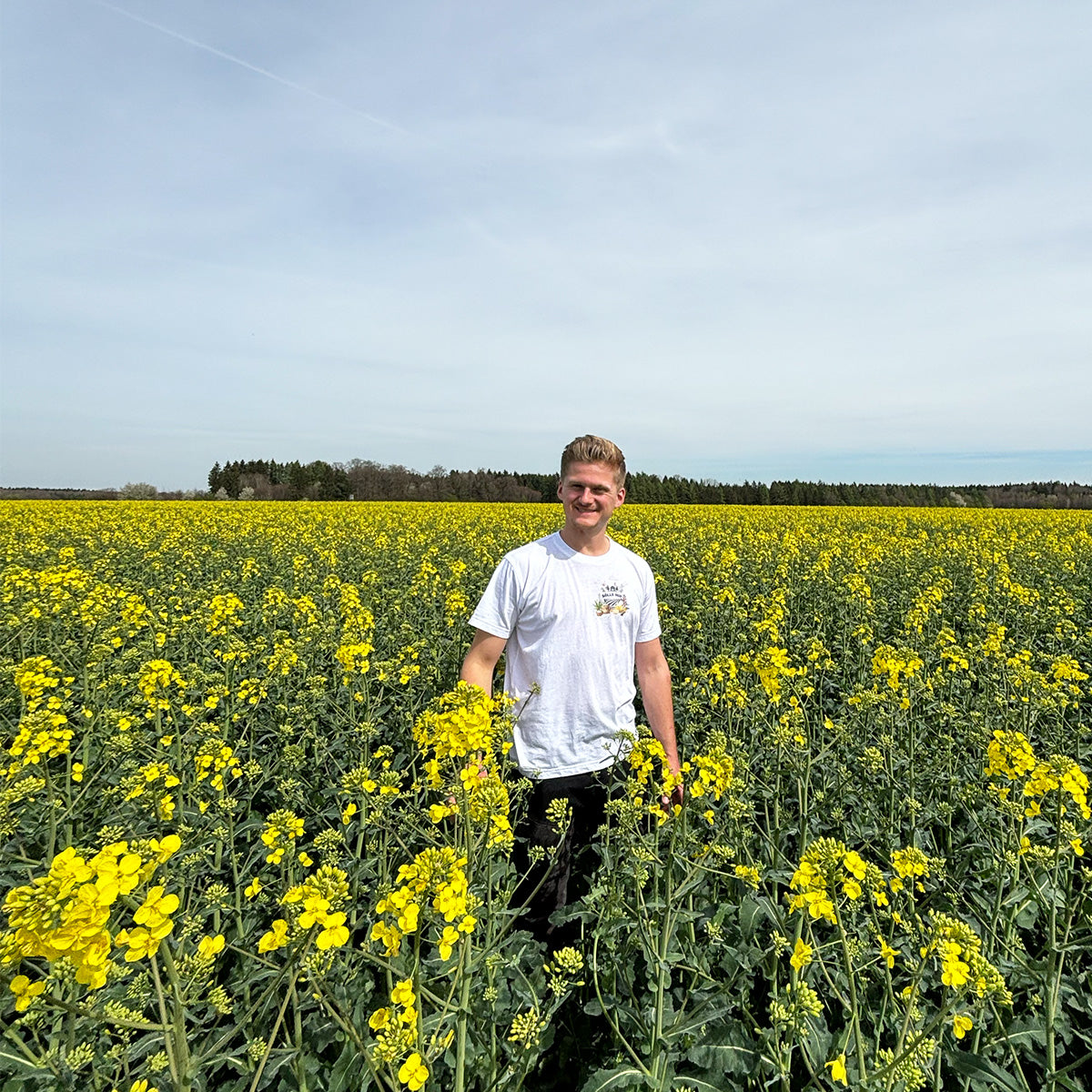 Thymianöl von der Alb