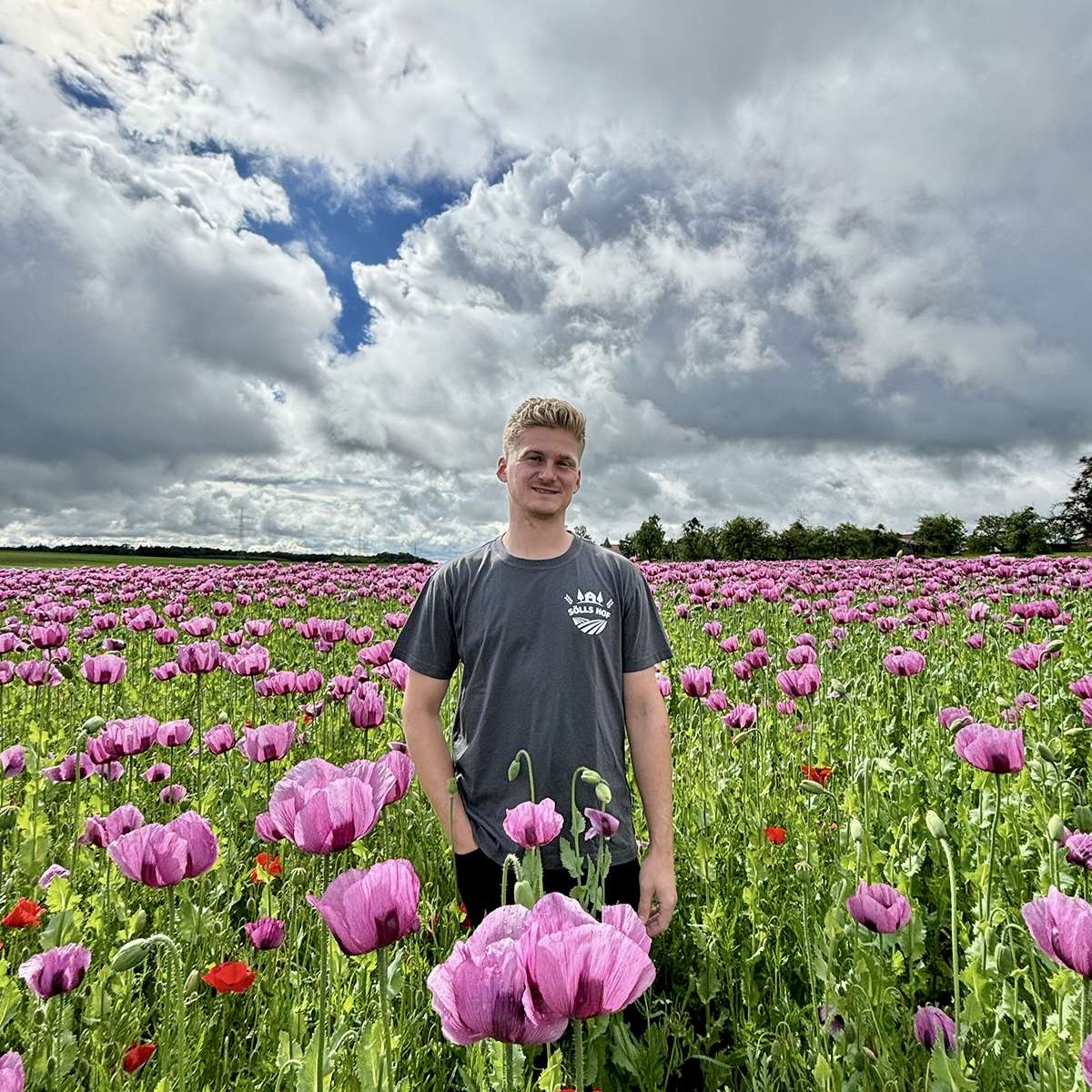 Johannes Söll im Mohnfeld