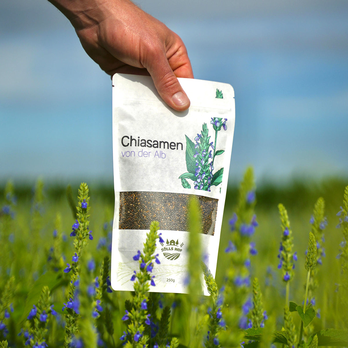 Chiasamen von der Alb