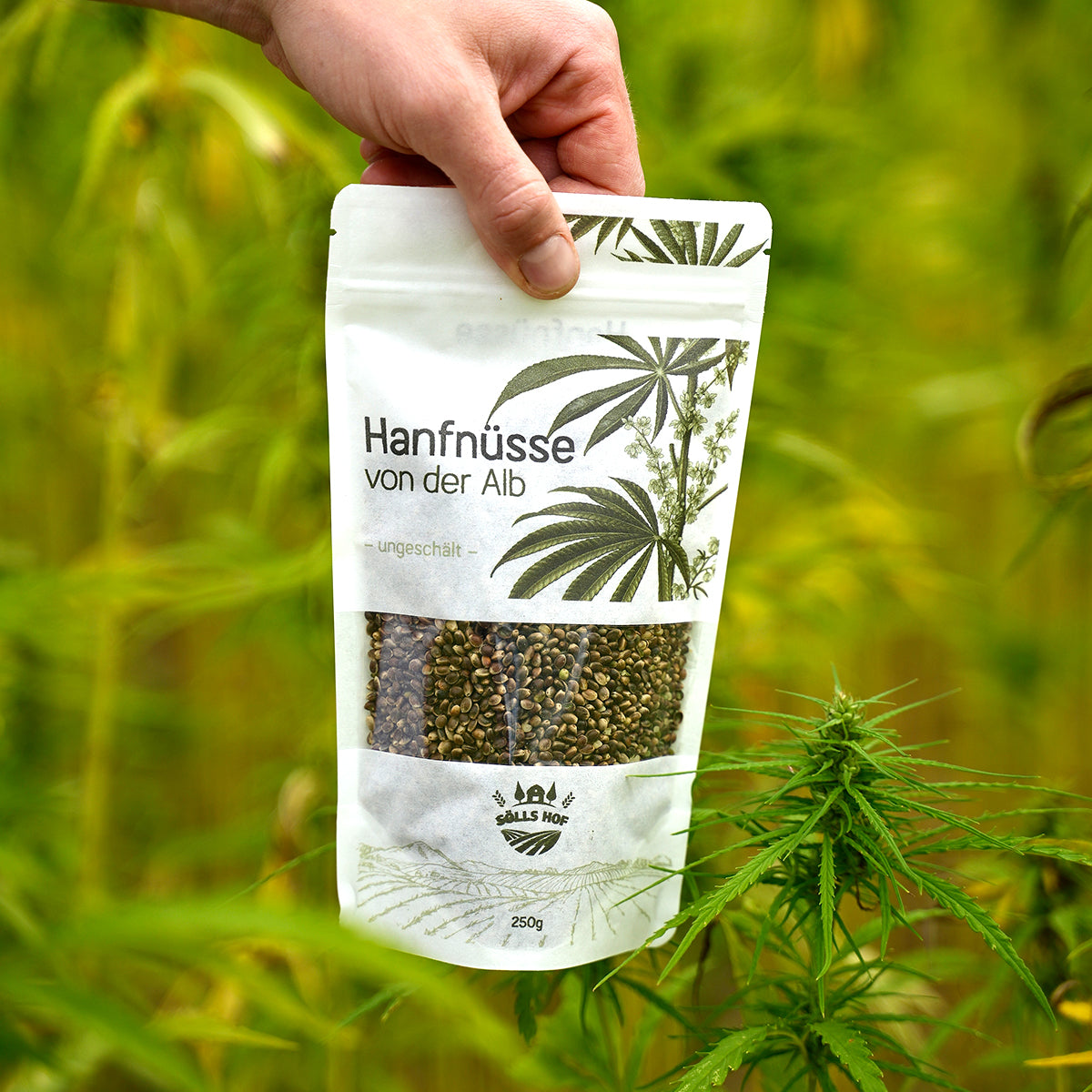 Hanfnüsse von der Alb - ungeschält