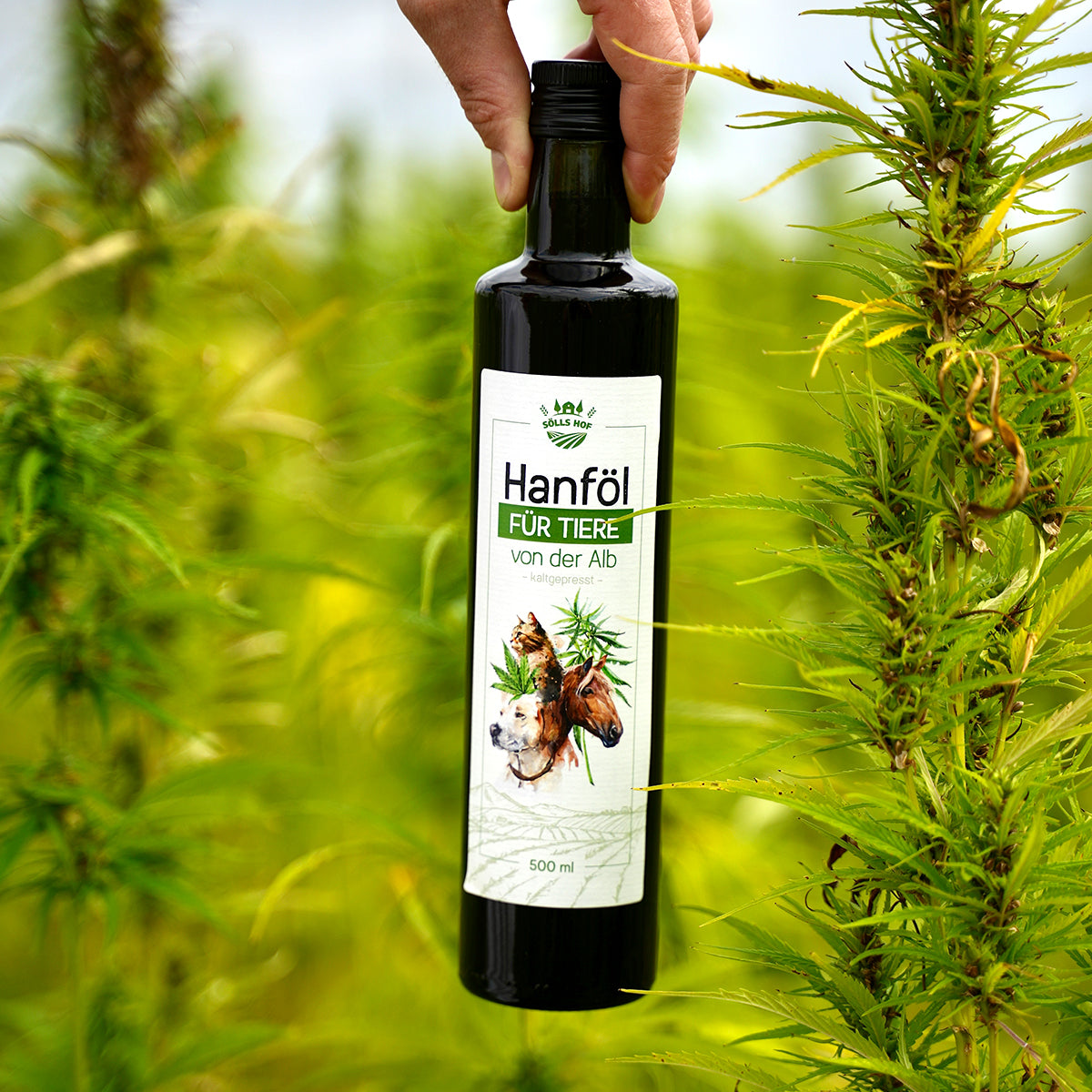 Hanföl für Tiere