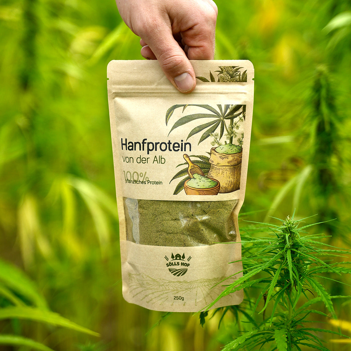 Hanfprotein von der Alb