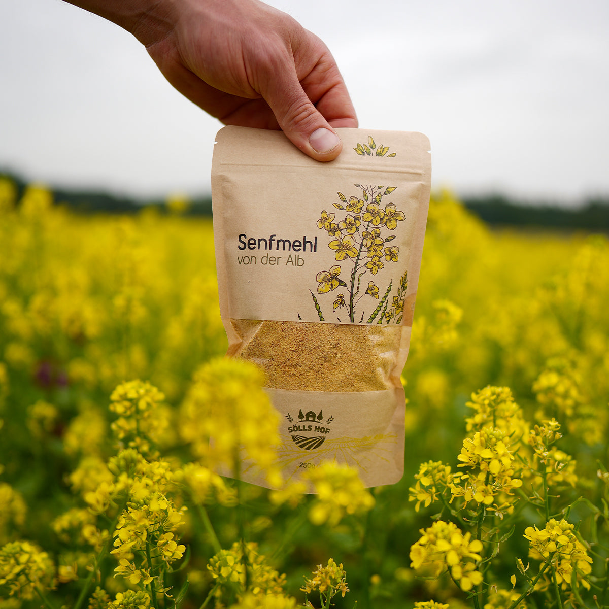 Senfmehl von der Alb